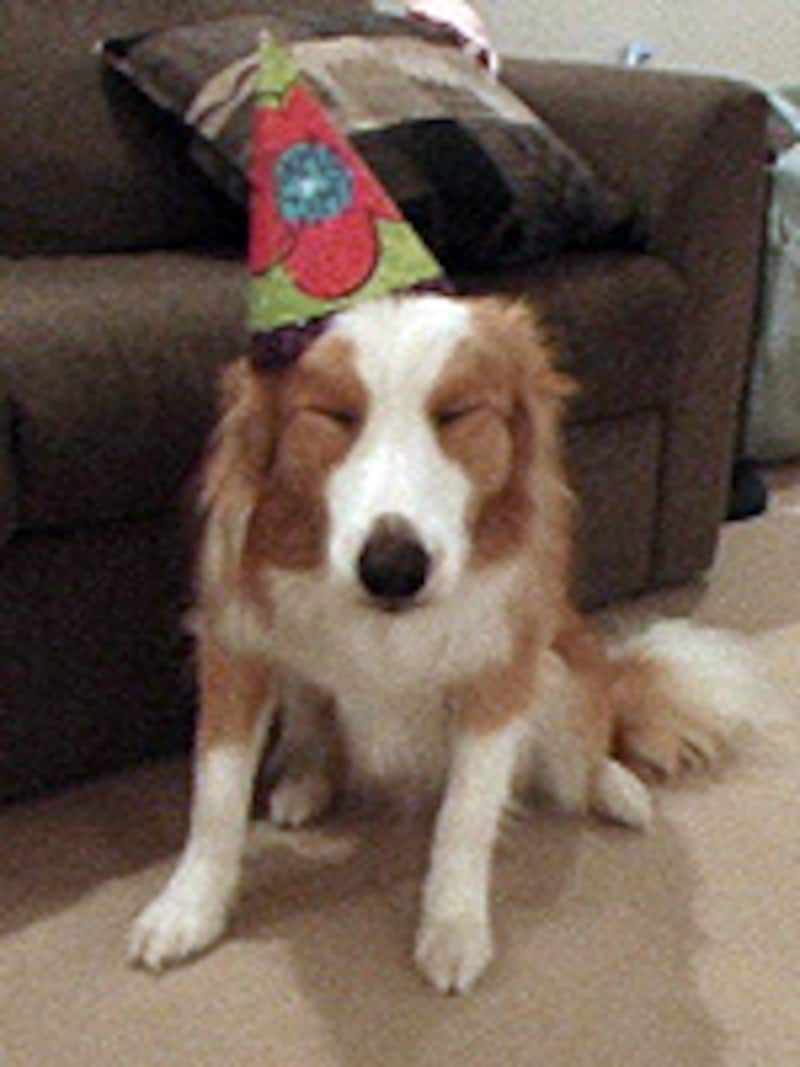 まばたきをする