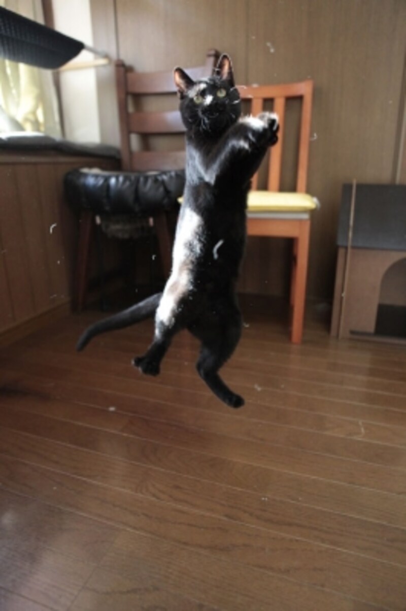 撮って!この瞬間!