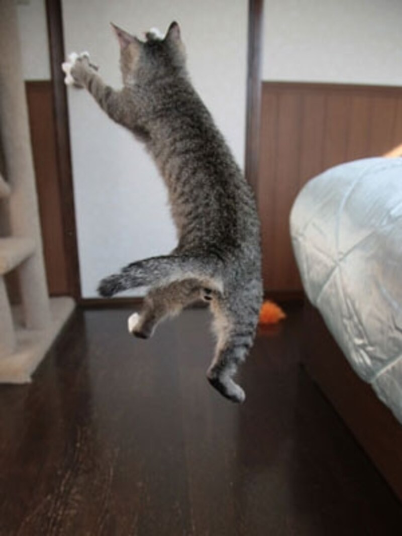 後ろ姿も美しくあるべきです!