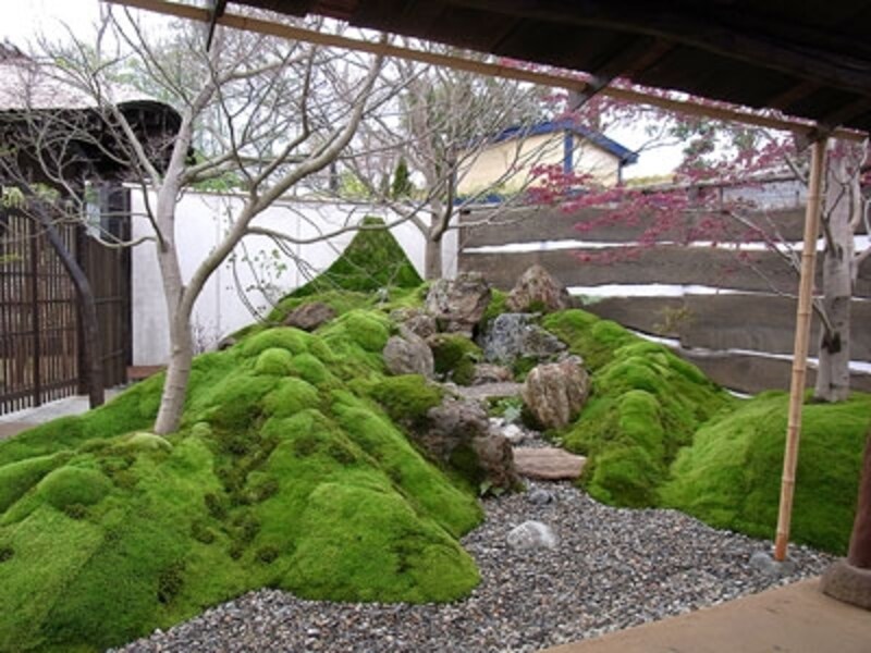 COOL JAPAN