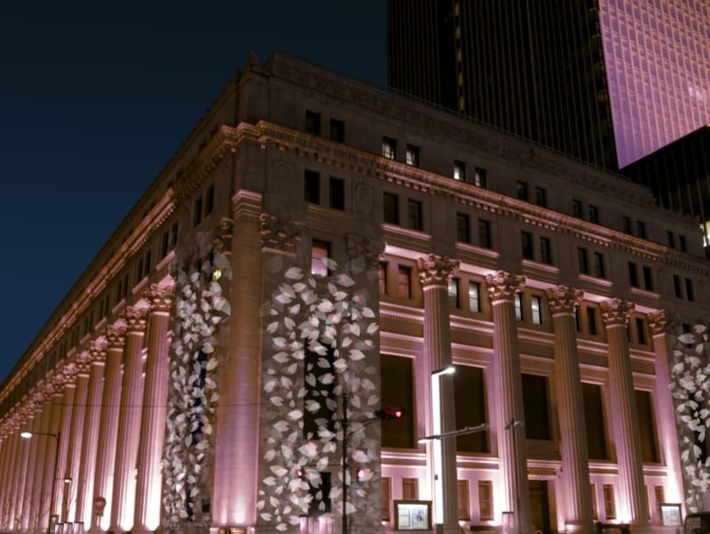 桜ライトアップundefinedイメージ