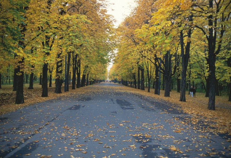 プラーターの大通り