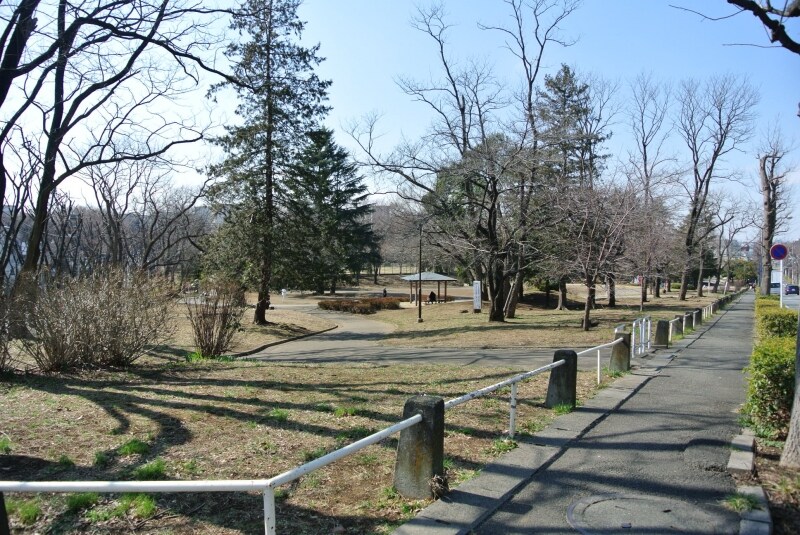 美しが丘公園