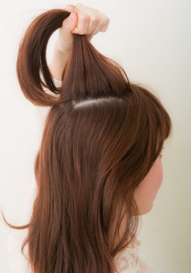 ハチ上をザックリ分けとる