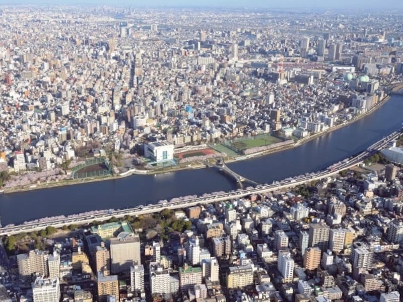東京スカイツリーからの眺め