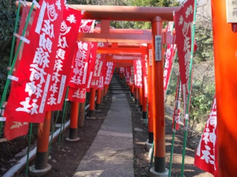 朱色の鳥居が立ち並ぶ佐助稲荷神社参道