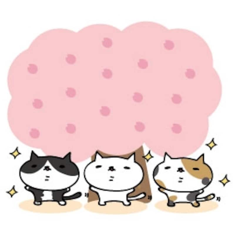 お花見 イラスト 桜 カラー かわいい