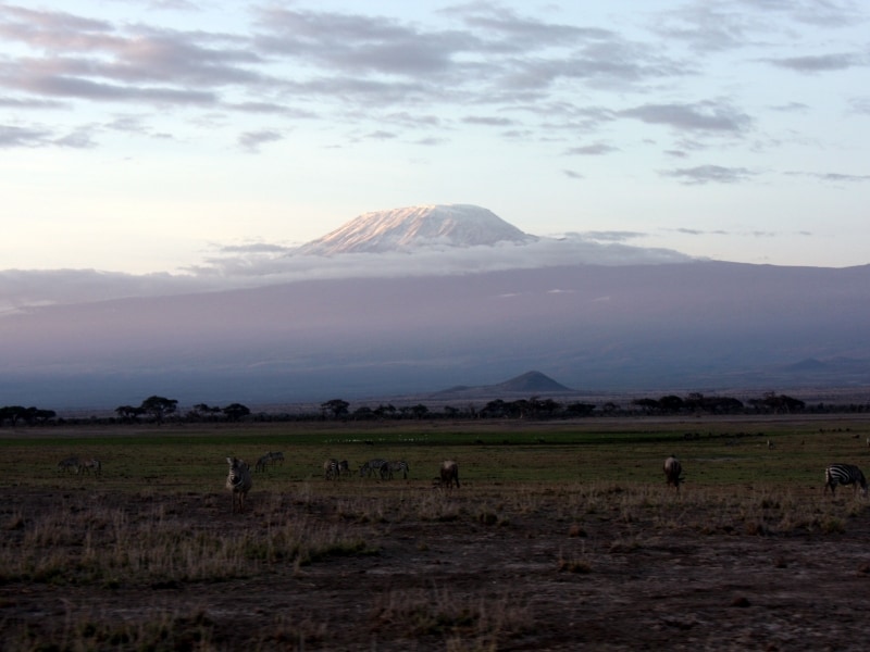 kilimanjaro