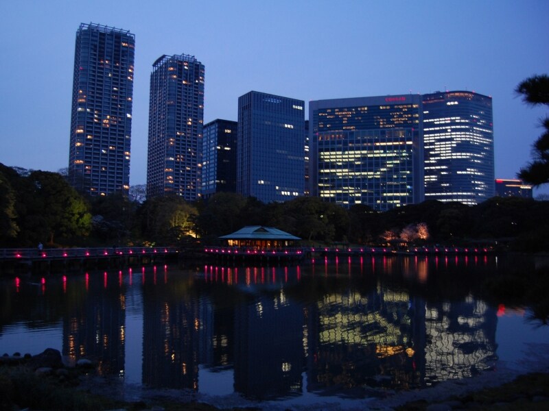 背景に見える汐留のビル群