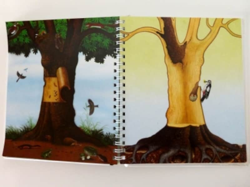 樹のページ写真2