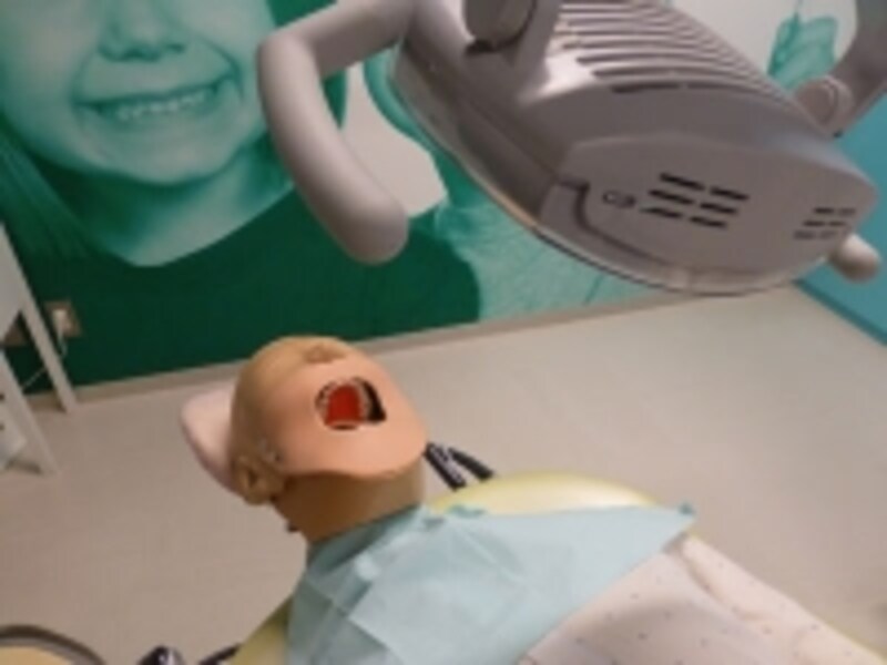 歯科医・歯科衛生士