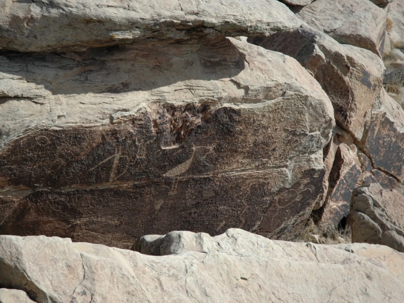 壁画が描かれた岩がころがっている