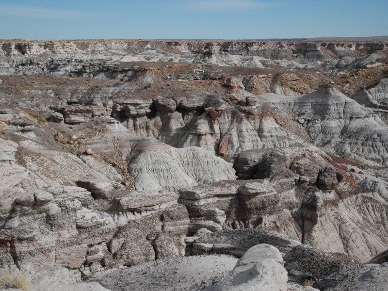 ここだけ別の世界のようなブルーメサ