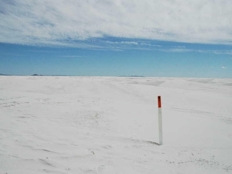 オレンジ色が目立つトレイルの目印