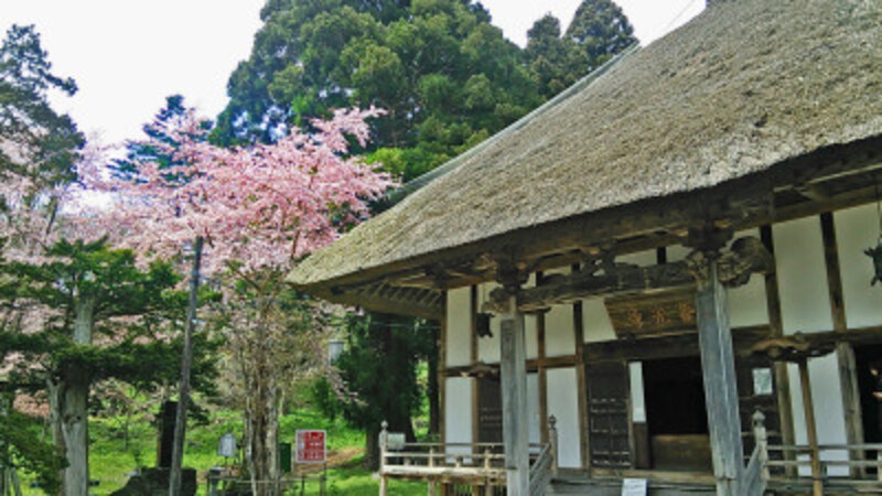 北海道の桜の名所7選 お花見で行きたいスポット 19 北海道の観光 旅行 All About