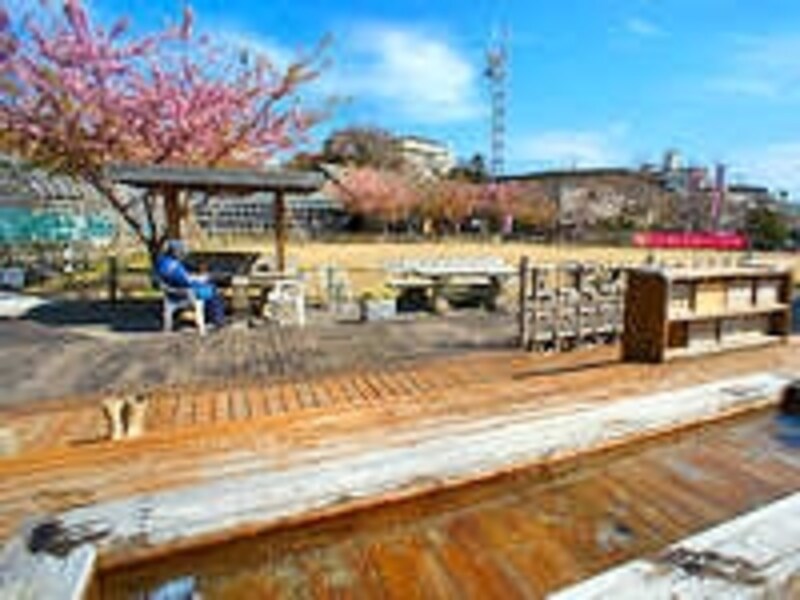 稲取温泉の足湯