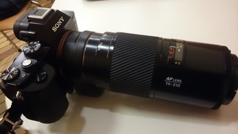 静止画用カメラとして、ソニーα7にミノルタAF 70-210mmを付けた例