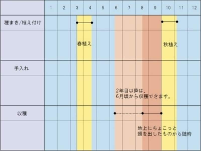 ミョウガの栽培カレンダー