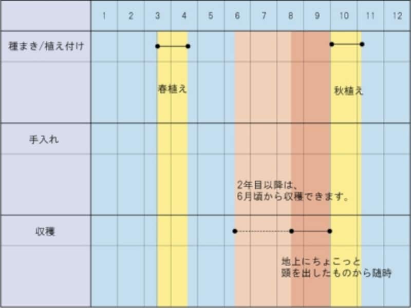 ミョウガの栽培スケジュール