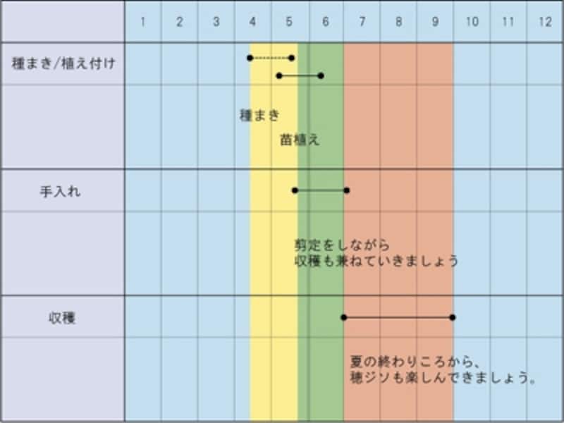 シソundefined栽培カレンダー
