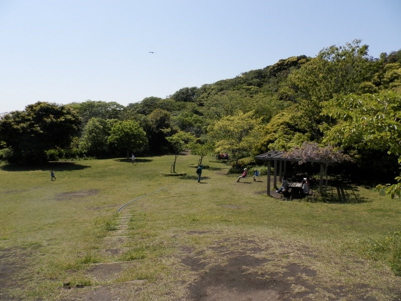 鎌倉市子ども自然ふれあいの森より衣張山方面を望む