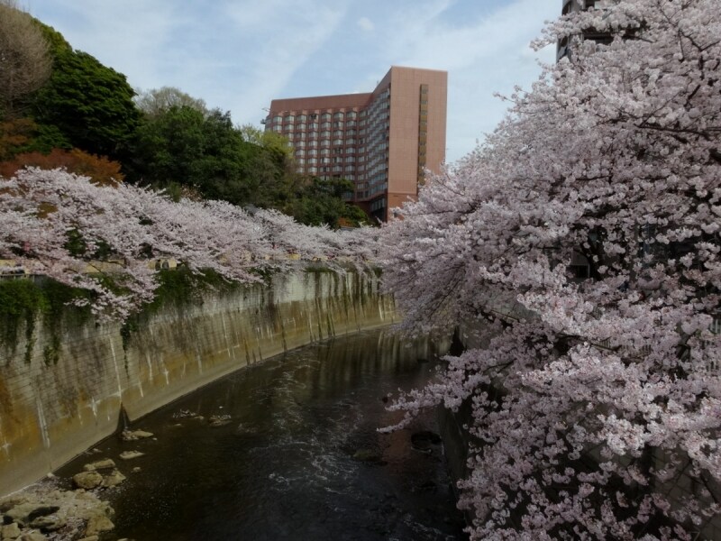 駒塚橋にはあふれるほどの人がいた