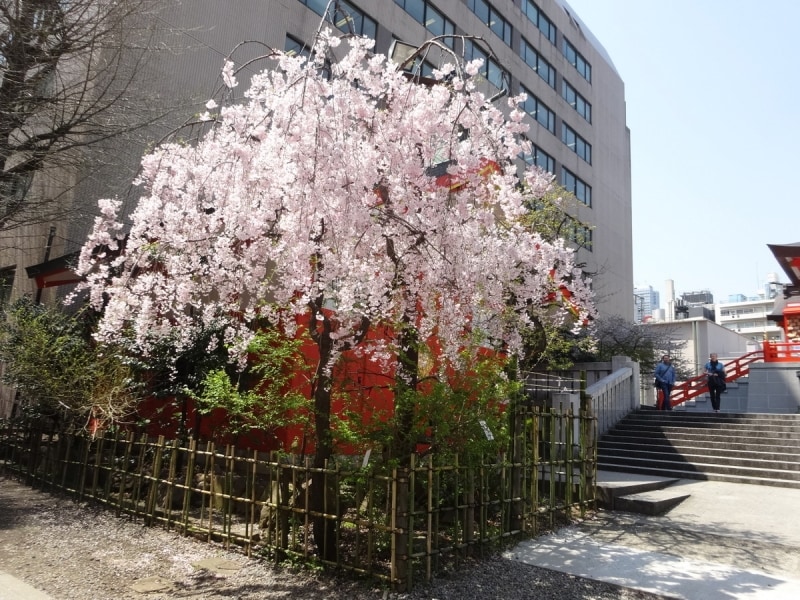 本殿手前にあり、多くの人が足を止めていた