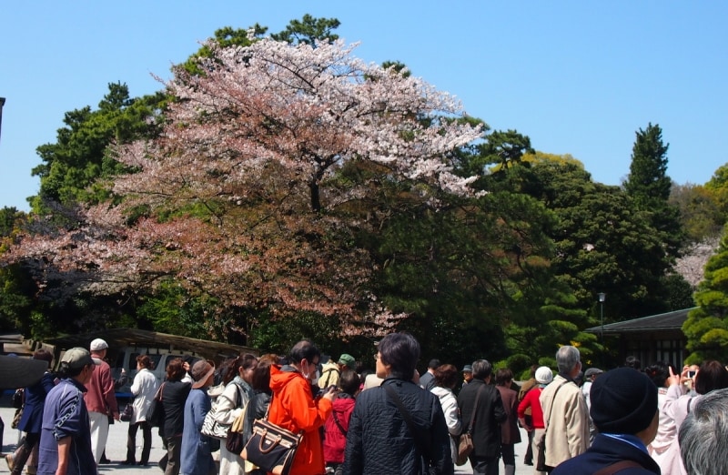 通り抜けは一方通行