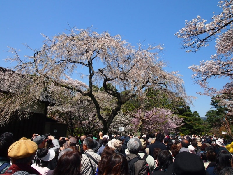 写真撮影は1枚か2枚でとのアナウンスがあった