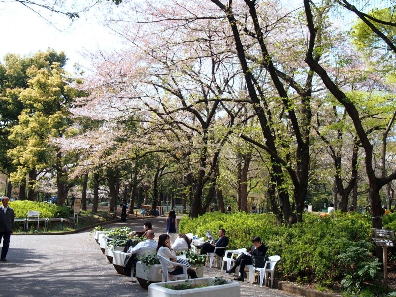 こうして今年のお花見シーズンも終わっていく