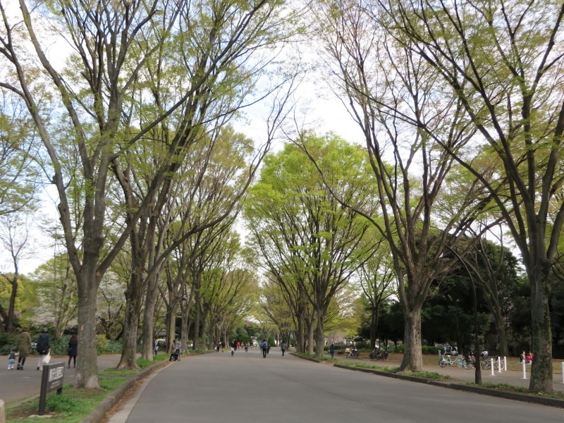 駒沢公苑