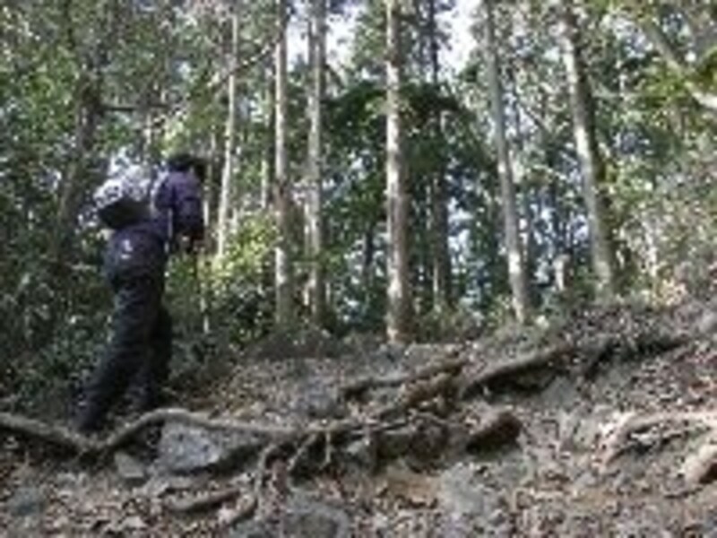 山登り