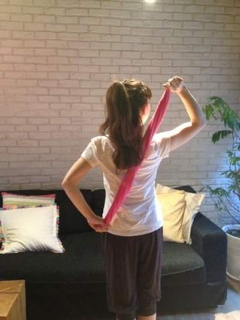 褐色脂肪細胞を意識して