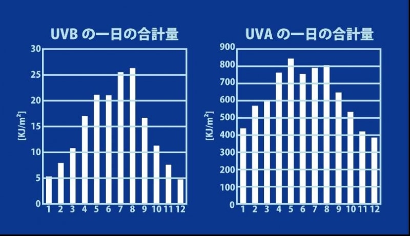 UVAとUVB、1日の合計量・月比較