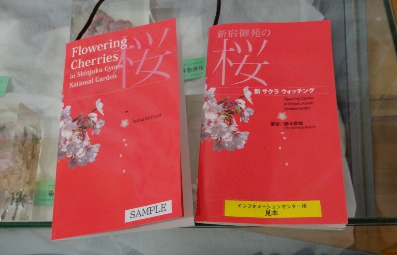 左が英語版で右が日本語版