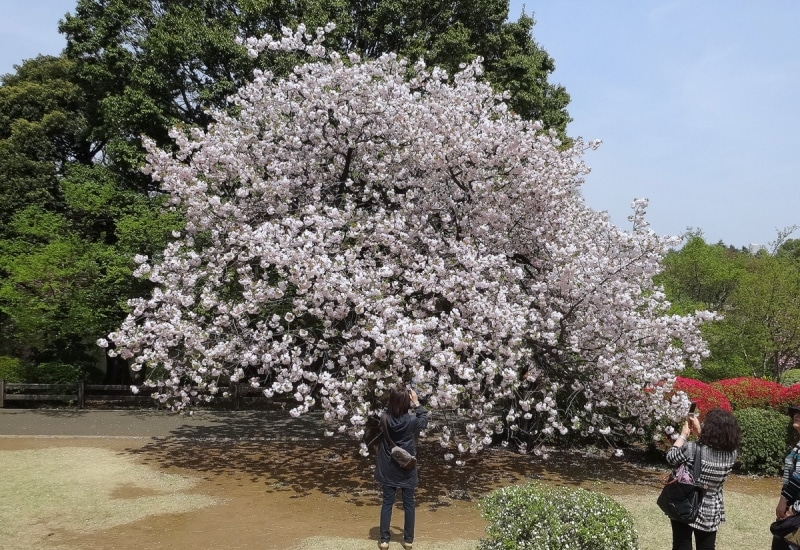 多くの人が入れ替わり写真撮影をしていた。