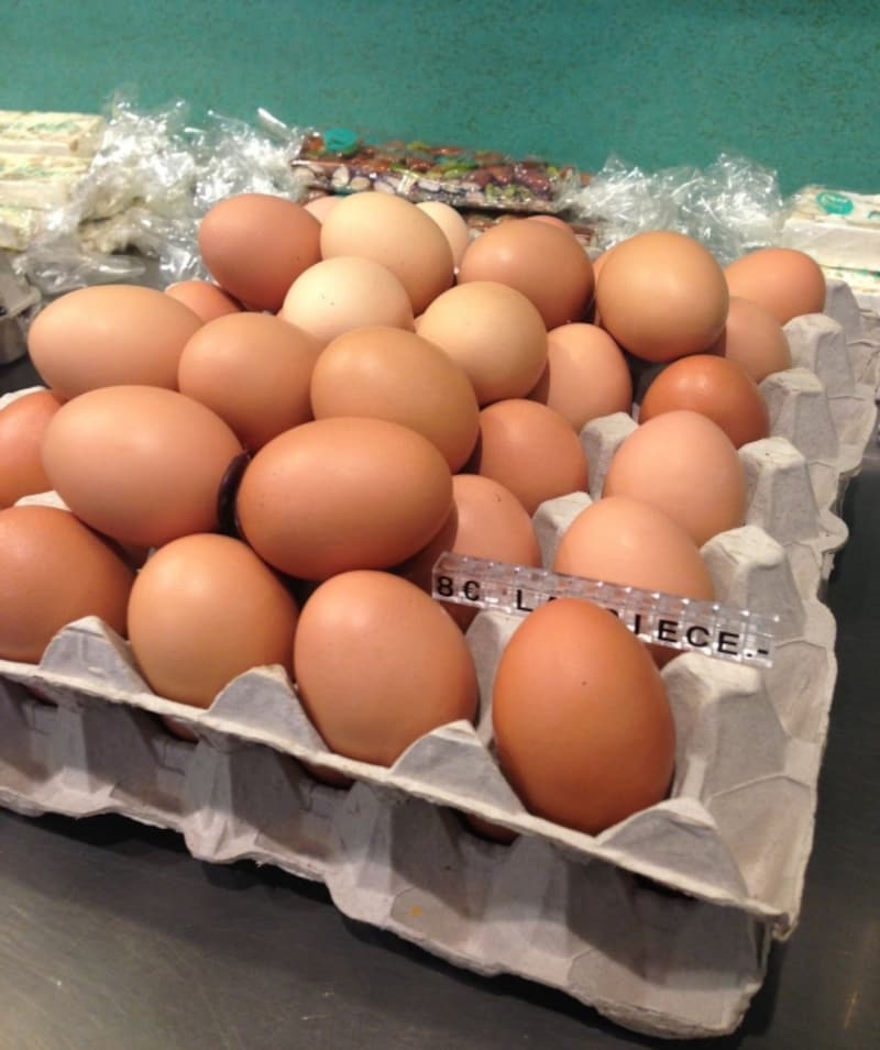 実際の卵を使っています