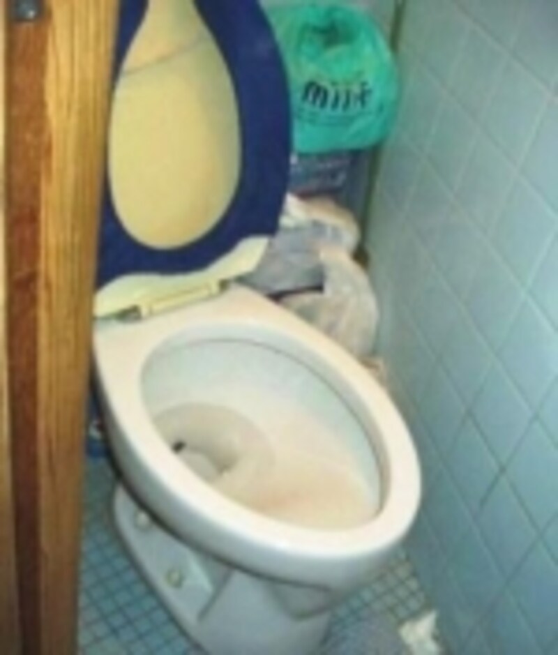 自宅のトイレ写真