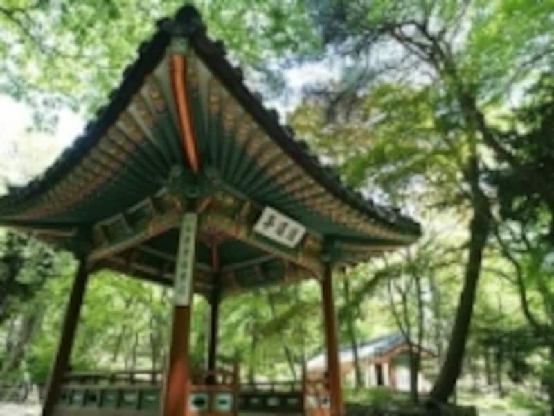 庭園