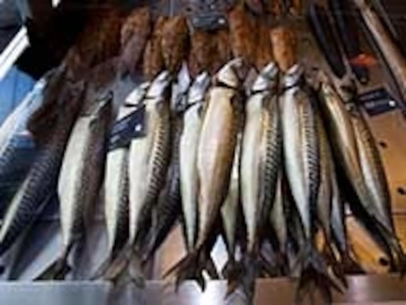 ノルウェーサバ