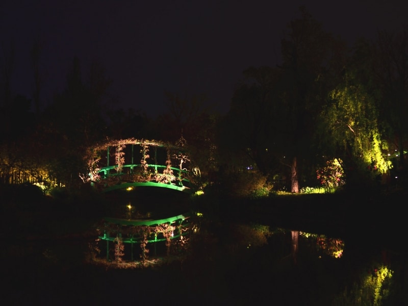 ライトアップされた水の庭