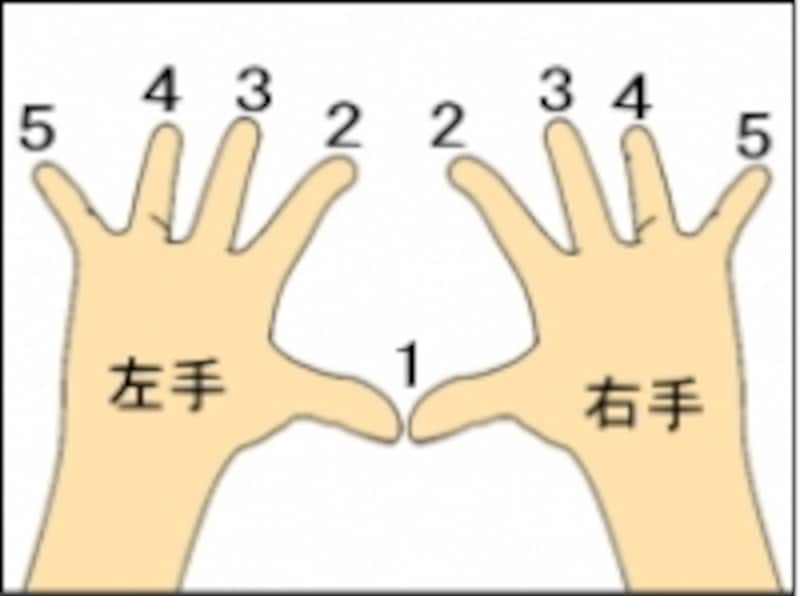手と指番号のイラスト