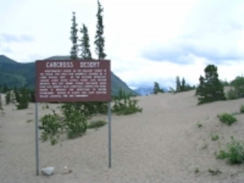 面積は2.6平方kmと、確かにコンパクトサイズ