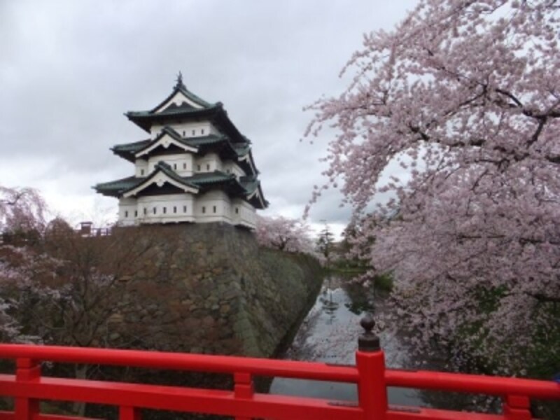 弘前城の桜（1）／天守閣と桜