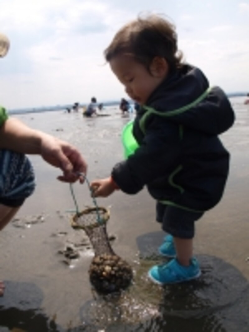 潮干狩り