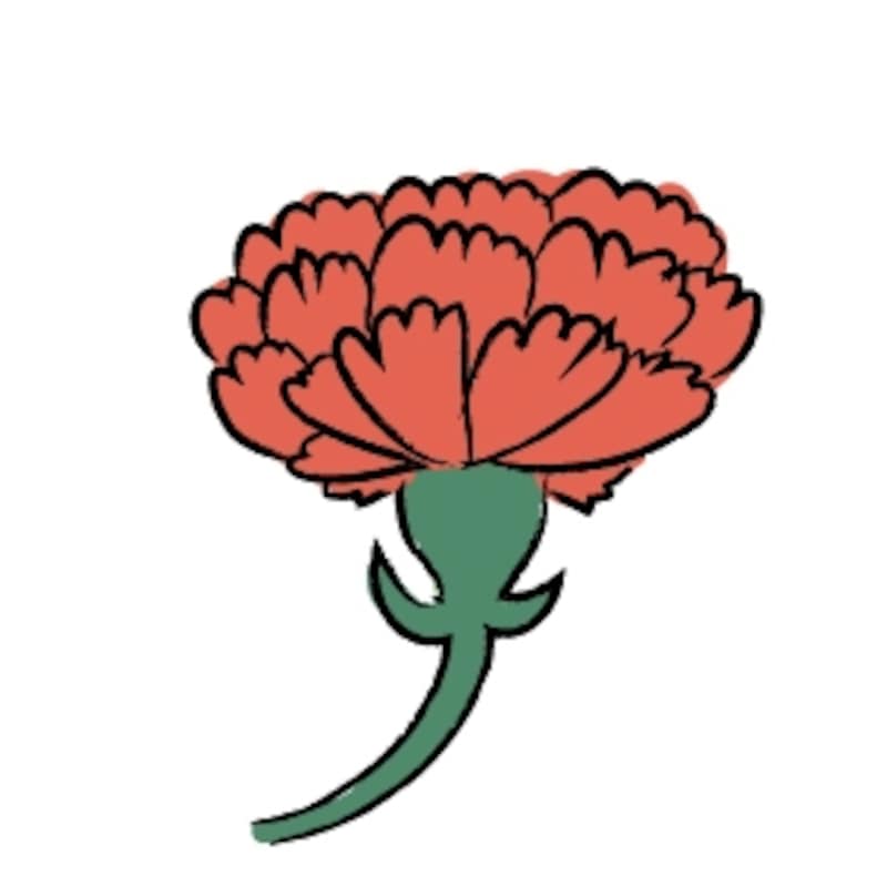 カーネーション 母の日 イラスト カラー かわいい
