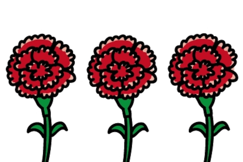 カーネーション 母の日 イラスト カラー かわいい