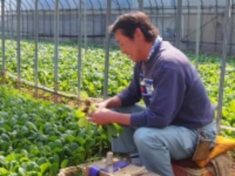 結束作業を行う真利子さん