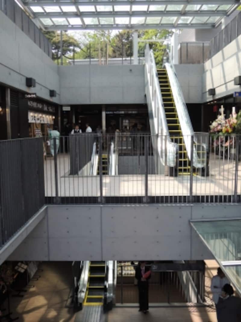 屋上は公園と繋がっている