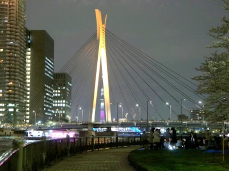 穴場の花見スポット